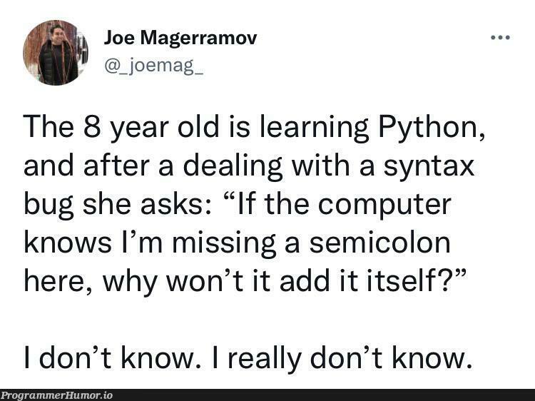 Why but why? | computer-memes, python-memes, bug-memes, IT-memes, semicolon-memes | ProgrammerHumor.io