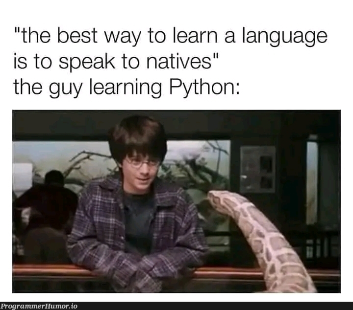 hisss | python-memes, language-memes | ProgrammerHumor.io