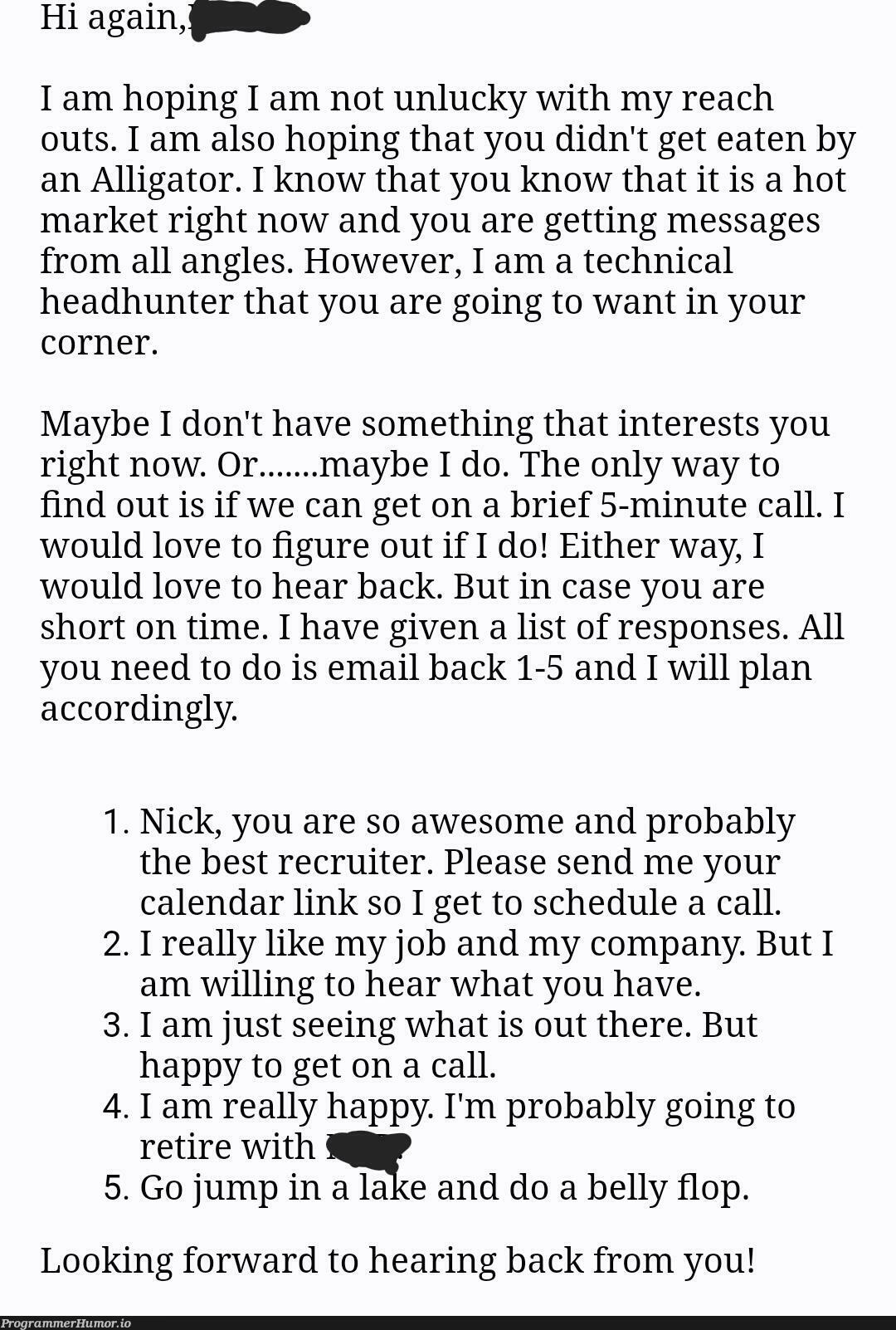 absolutely unhinged message I received from a recruiter lol | tech-memes, list-memes, rest-memes, email-memes, recruit-memes, IT-memes | ProgrammerHumor.io