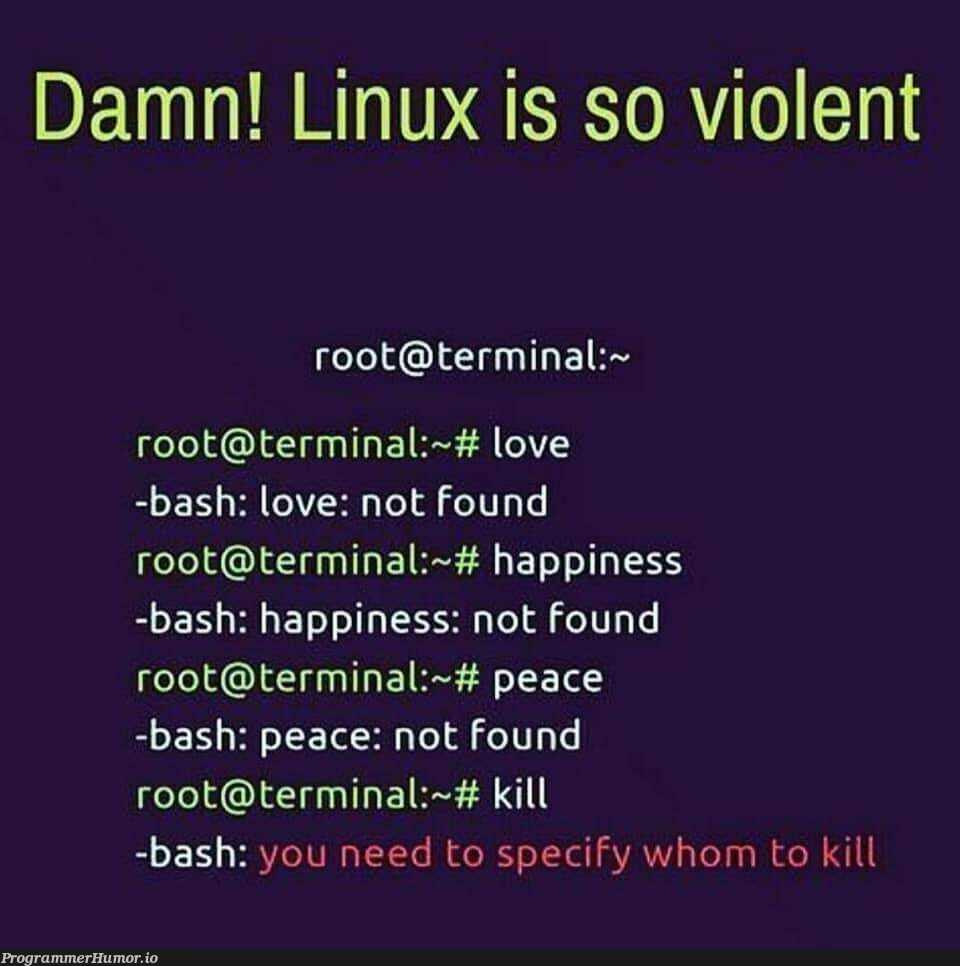 Why ??☹️ | linux-memes, ux-memes, terminal-memes, bash-memes | ProgrammerHumor.io