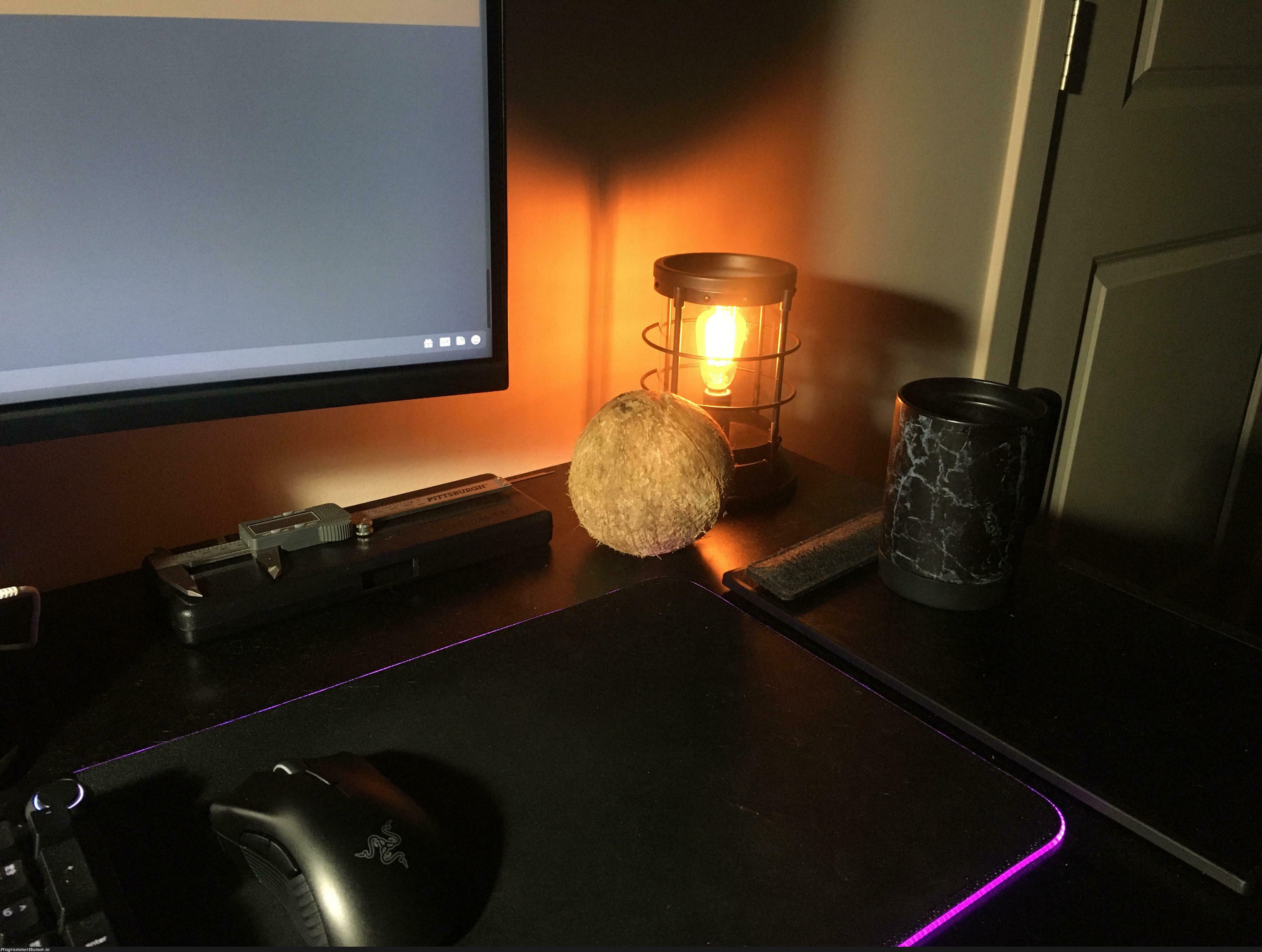 Does anyone else have a desk coconut? | ProgrammerHumor.io