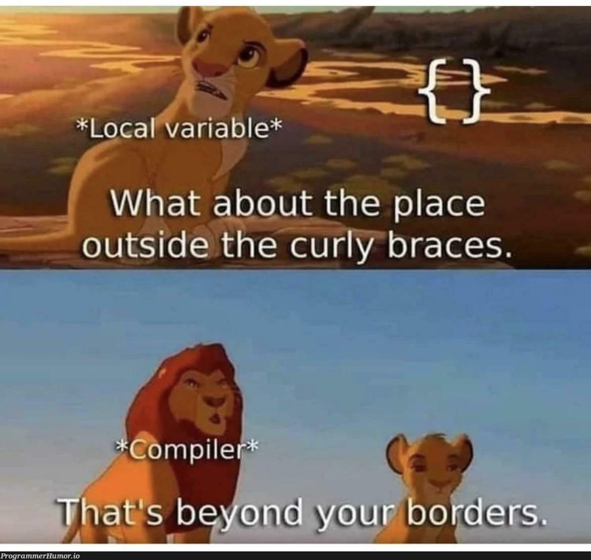 Life if a local variable!! | loc-memes, ide-memes | ProgrammerHumor.io