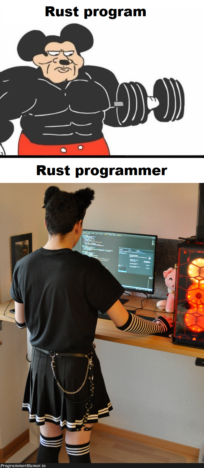 Rust 👍 | program-memes, rust-memes | ProgrammerHumor.io