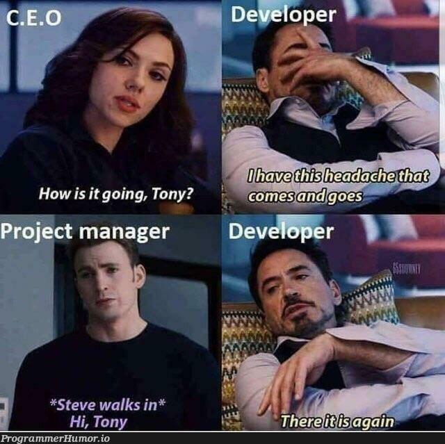 Dark side of being a developer | developer-memes, IT-memes, ide-memes, manager-memes | ProgrammerHumor.io