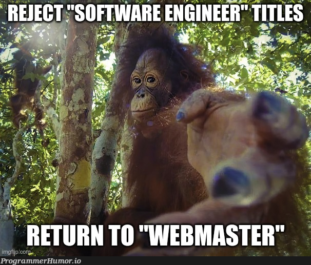 Is there a cooler title than that? | ProgrammerHumor.io