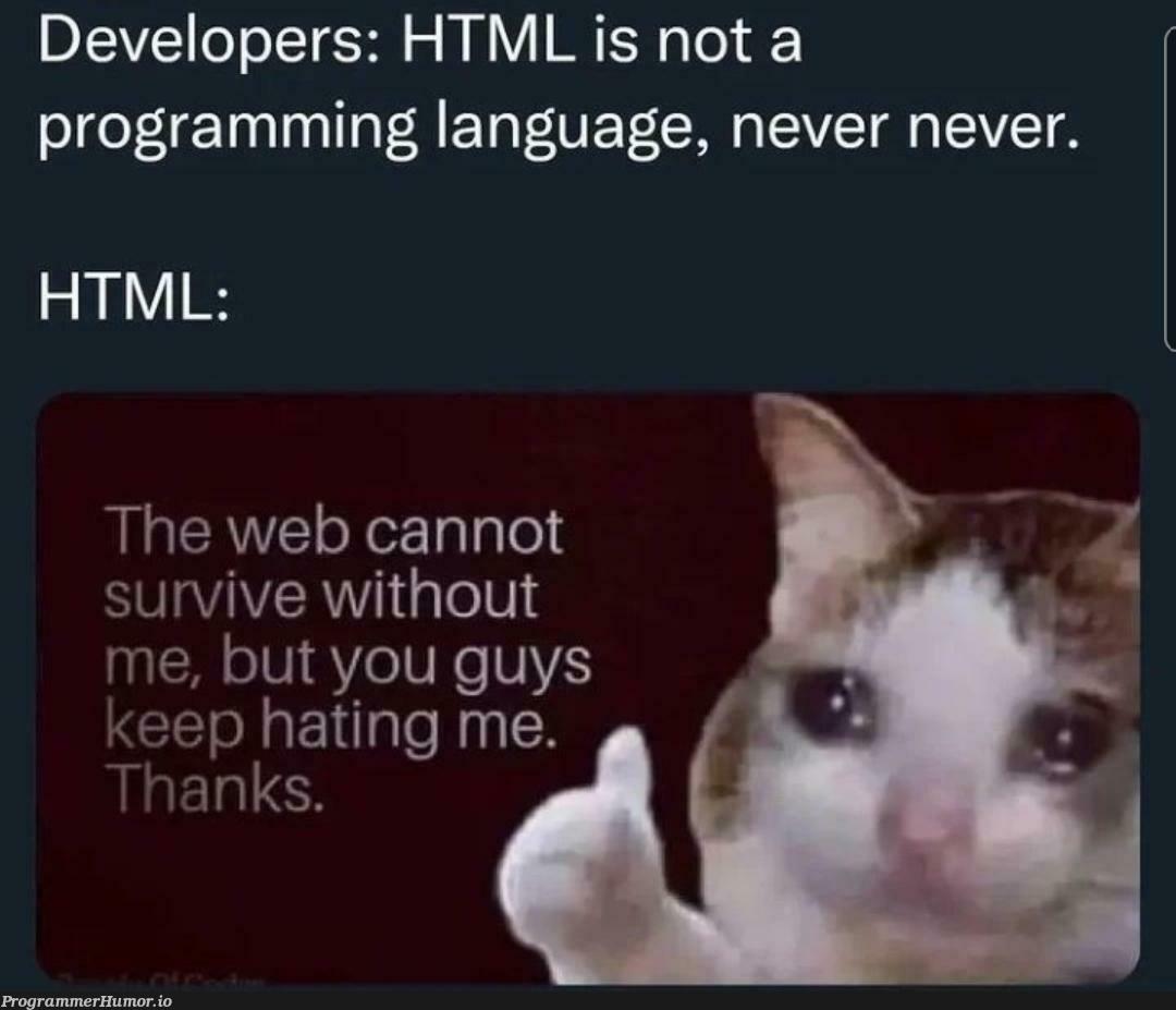 poor HTML | programming-memes, developer-memes, html-memes, web-memes, program-memes, ML-memes, language-memes, programming language-memes | ProgrammerHumor.io