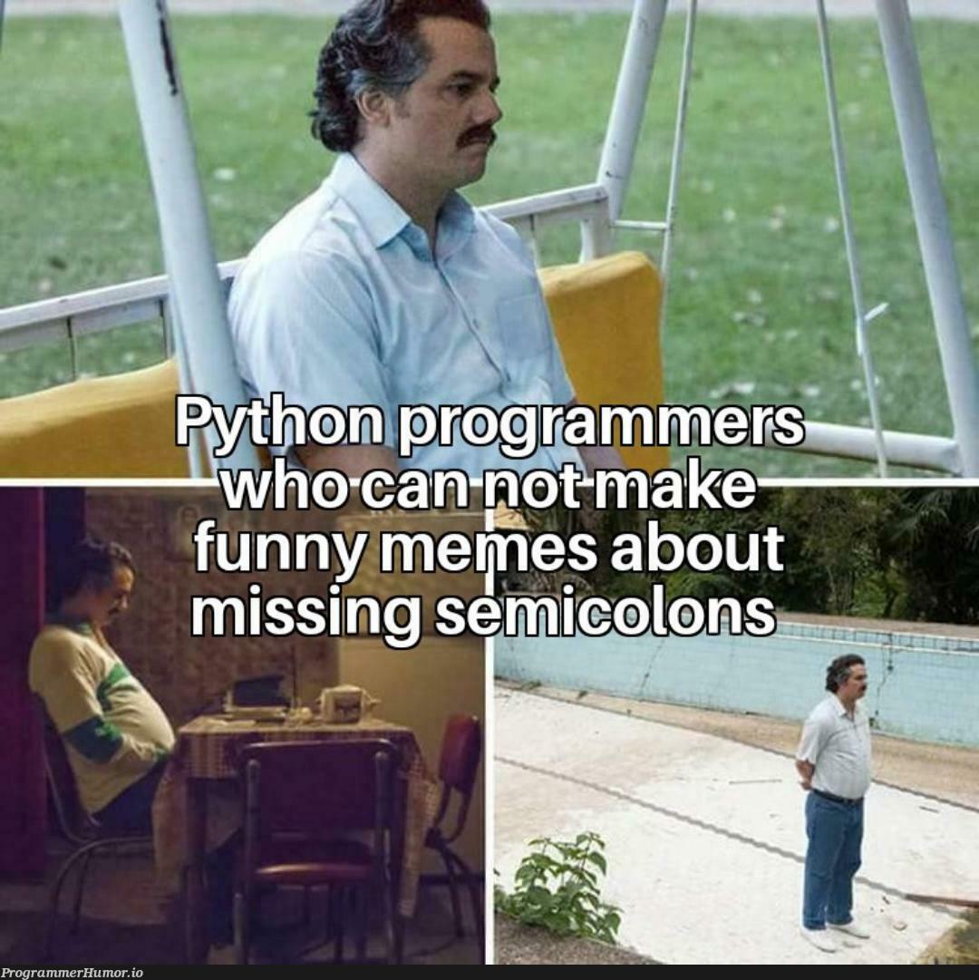 The actual pain of using Python | python-memes | ProgrammerHumor.io