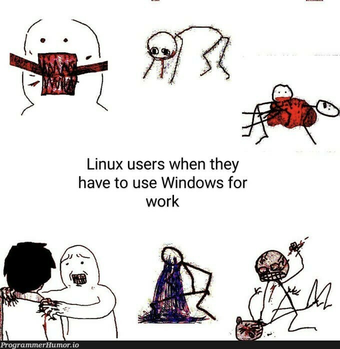 When they ask if it works on Windows | linux-memes, ux-memes, windows-memes, IT-memes | ProgrammerHumor.io