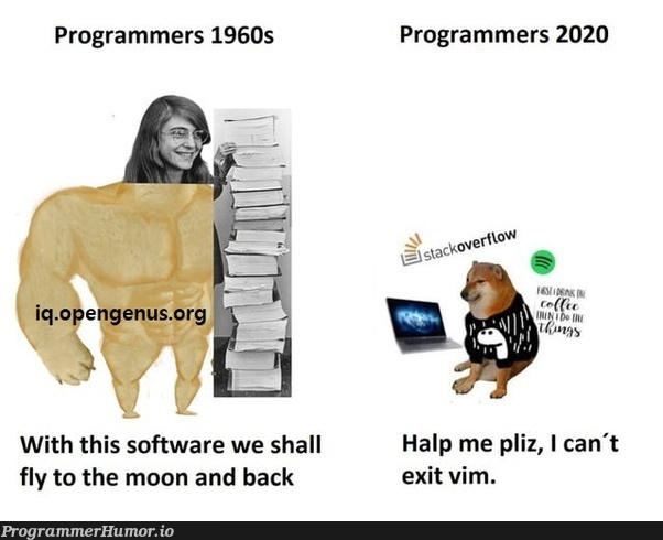 Today's programmer | programmer-memes, software-memes, vim-memes, program-memes | ProgrammerHumor.io