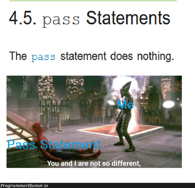 Pass statement | ProgrammerHumor.io