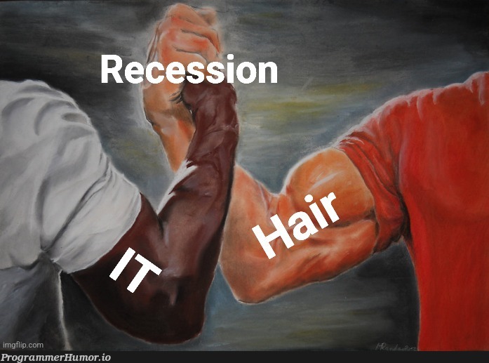 Recession: Hair 🤝 IT | ProgrammerHumor.io