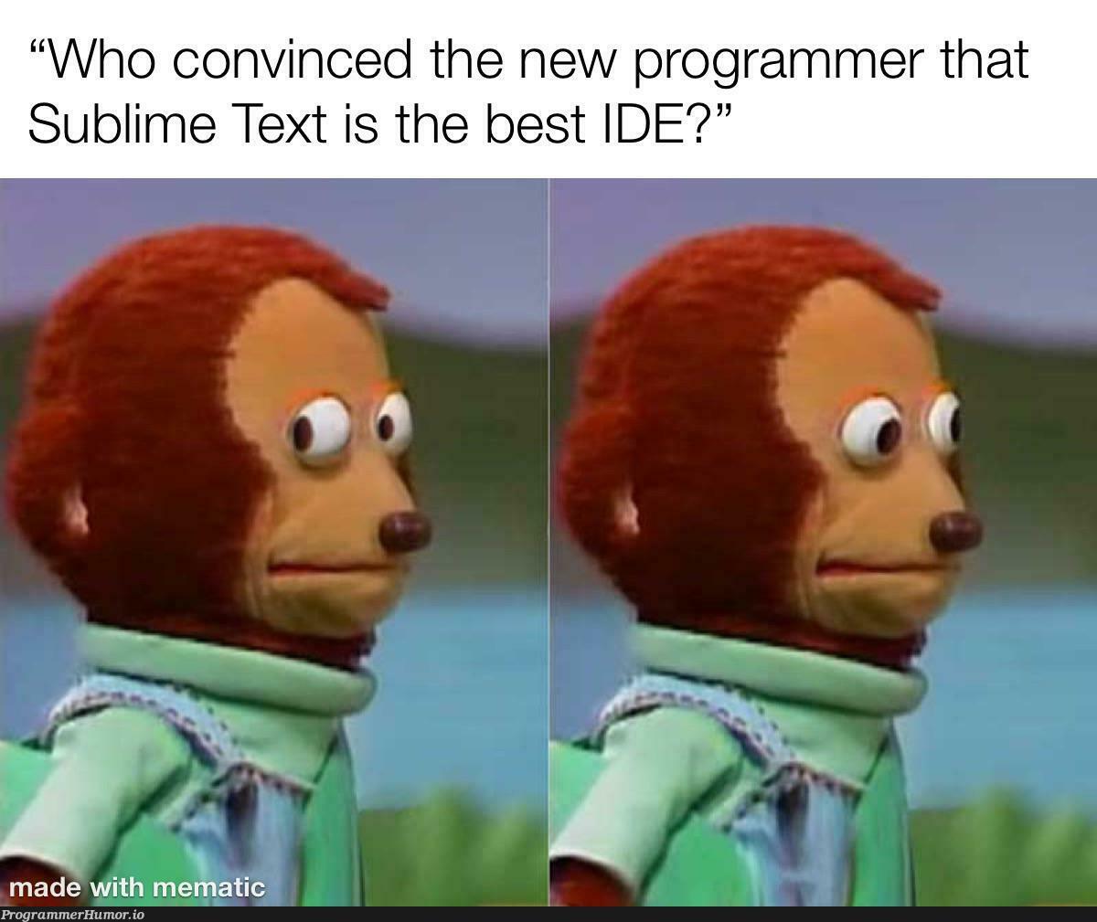 Based on a true story | programmer-memes, sublime text-memes, program-memes, ide-memes | ProgrammerHumor.io