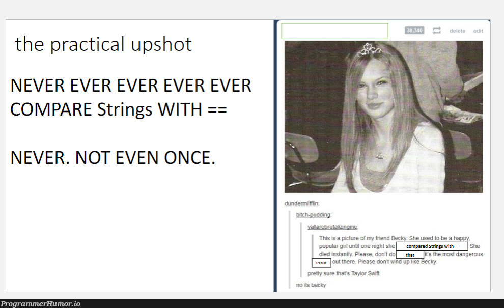 My prof always has a funny picture for the lesson | string-memes | ProgrammerHumor.io