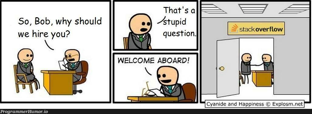 Assume that SO employees also answer questions... | .net-memes, ide-memes | ProgrammerHumor.io