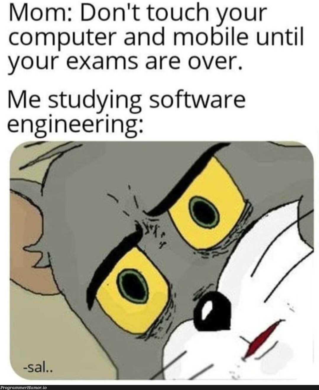 Uh... mom...? | software-memes, computer-memes, engineer-memes, software engineer-memes, engineering-memes | ProgrammerHumor.io