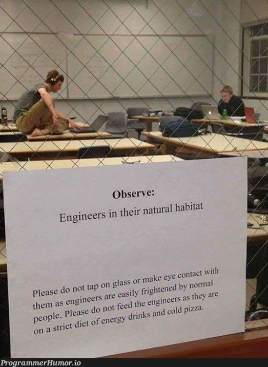 Engineers in their natural habitat | engineer-memes | ProgrammerHumor.io