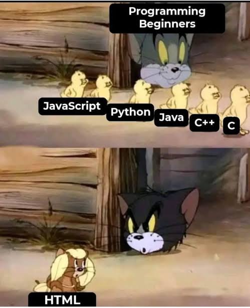 HTML is a programming language 😂. Trust me | programming-memes, html-memes, program-memes, ML-memes, language-memes, rust-memes, programming language-memes | ProgrammerHumor.io