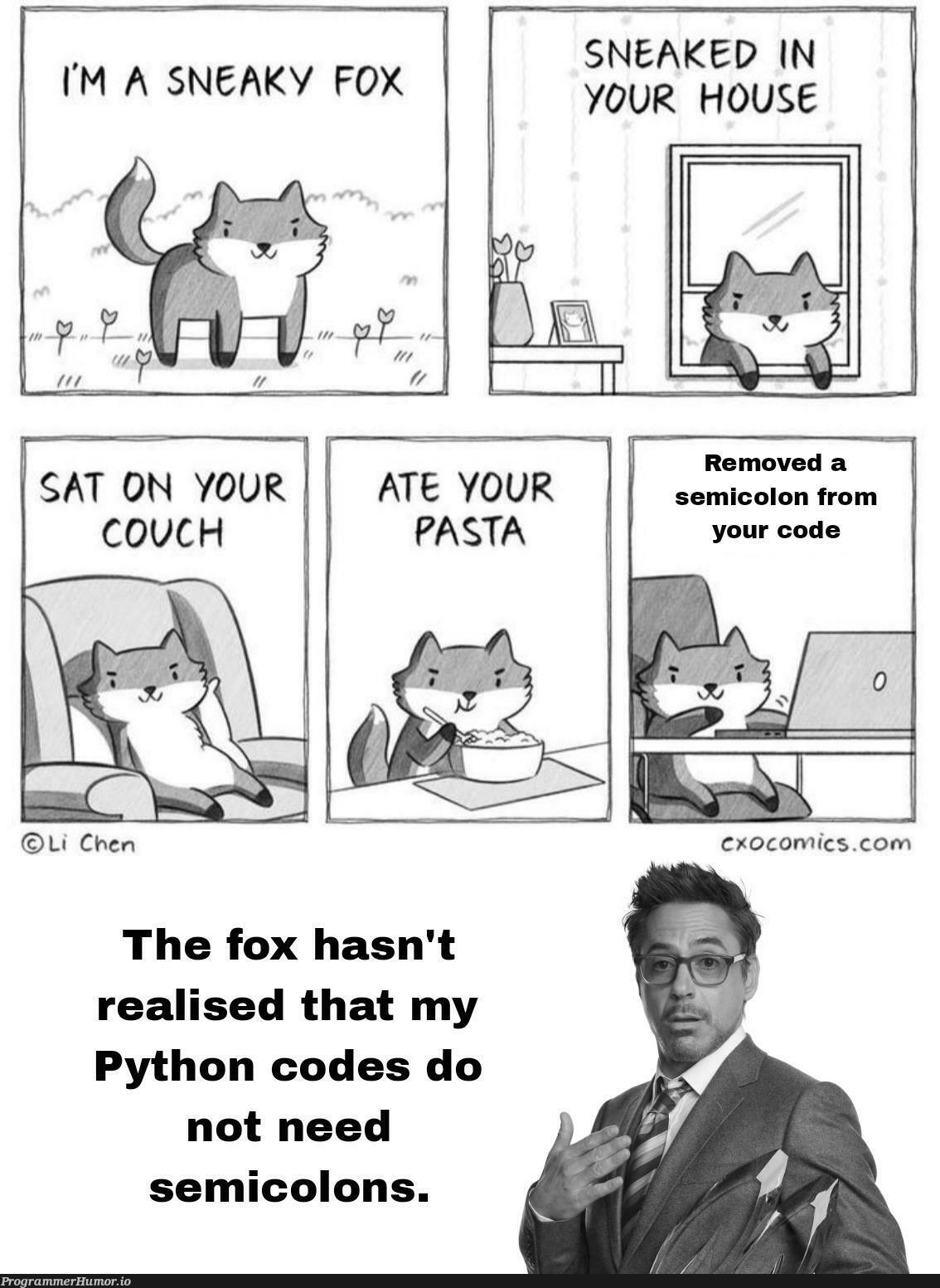 Silly fox | code-memes, python-memes, semicolon-memes | ProgrammerHumor.io