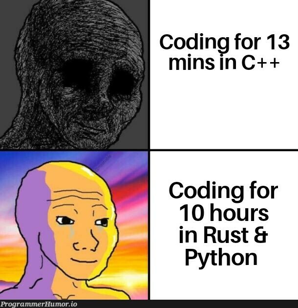 If I sum up my Life. | coding-memes, python-memes, c++-memes, rust-memes | ProgrammerHumor.io