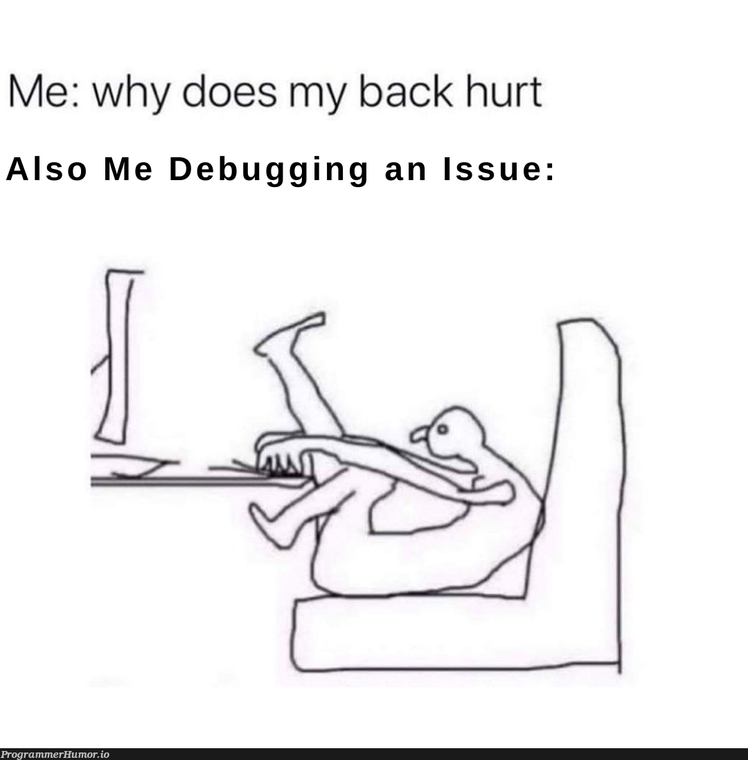 Working from home | debugging-memes, bug-memes, debug-memes | ProgrammerHumor.io