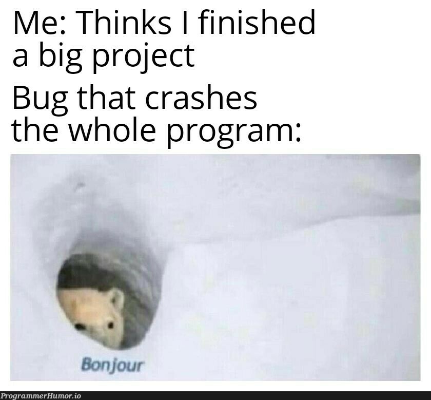 Based on real events | program-memes, bug-memes, crash-memes | ProgrammerHumor.io