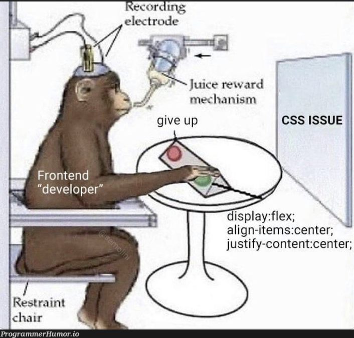 CSS Sucks | css-memes, frontend-memes, rest-memes, train-memes, cs-memes | ProgrammerHumor.io