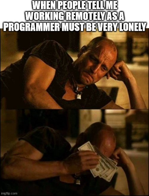 Working Remotely | ProgrammerHumor.io