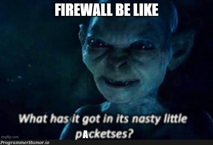 Firewall be like: What has it got in its nasty little packetses | IT-memes | ProgrammerHumor.io