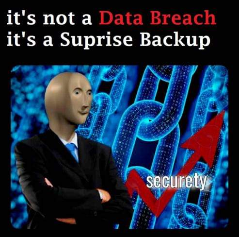 Securety | data-memes | ProgrammerHumor.io