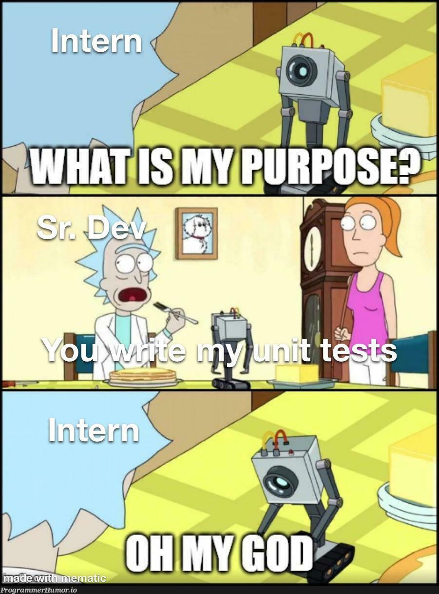 Interns | ProgrammerHumor.io