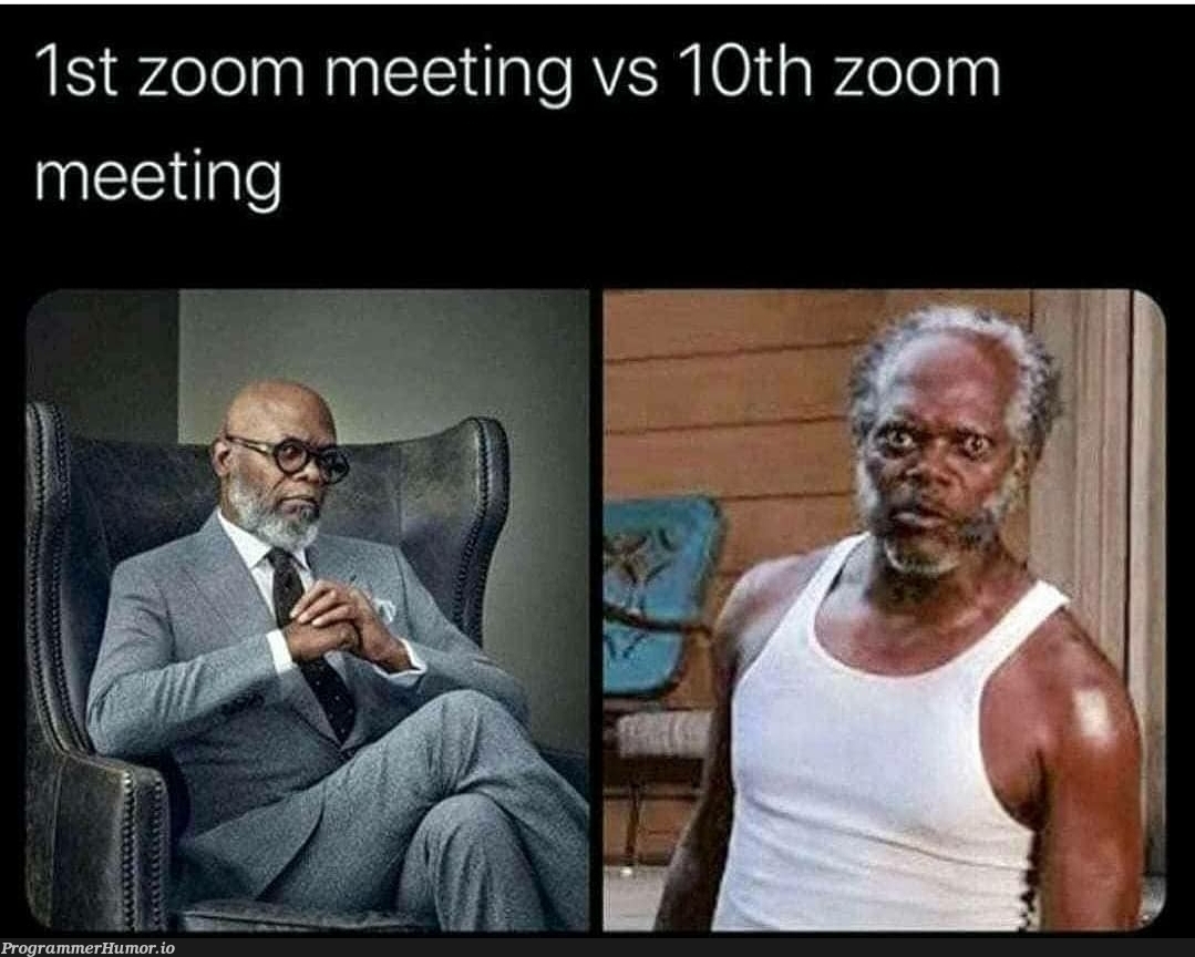 Zoom Meetings | ProgrammerHumor.io