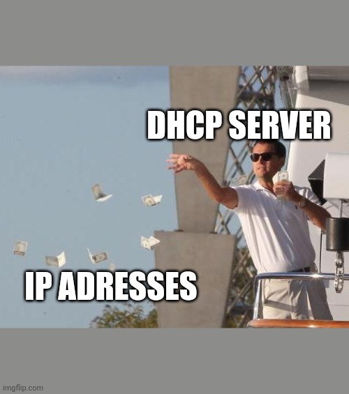 IP Addresses go brrrrrr | ProgrammerHumor.io