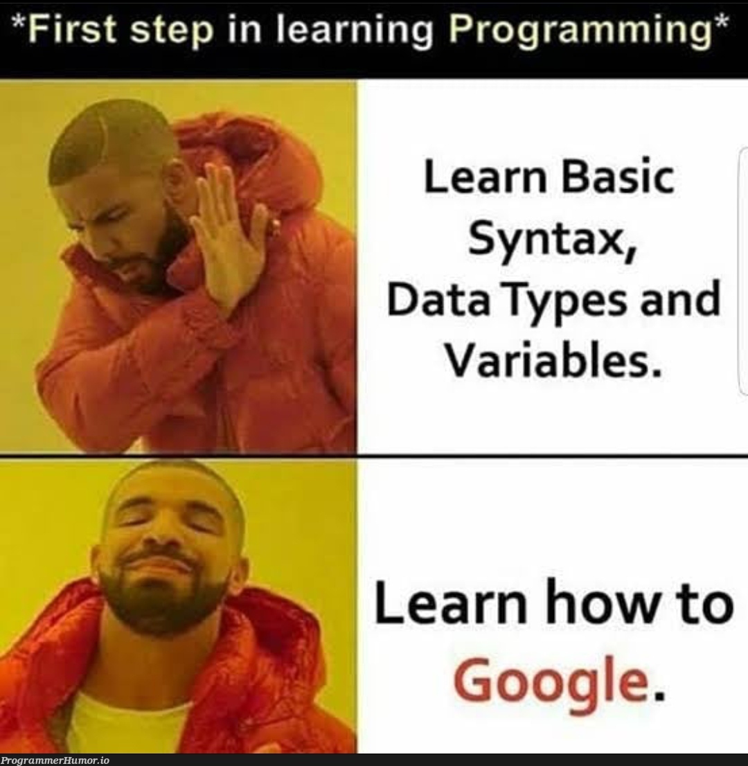 Google is the solution | programming-memes, variables-memes, program-memes, google-memes, data-memes | ProgrammerHumor.io