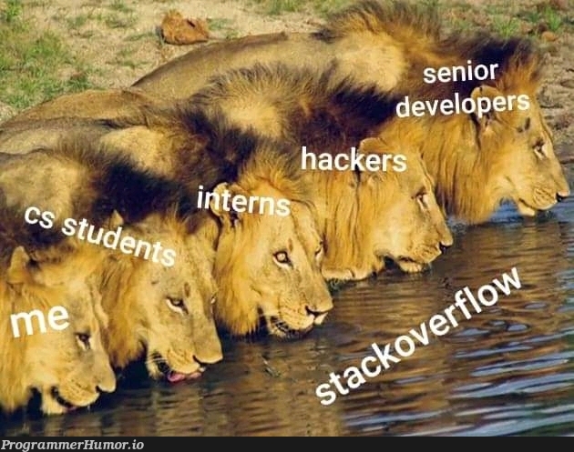 We are all in this. Lol | ProgrammerHumor.io