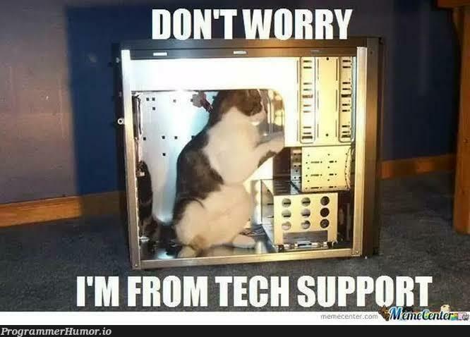 Tech Support. | tech-memes | ProgrammerHumor.io