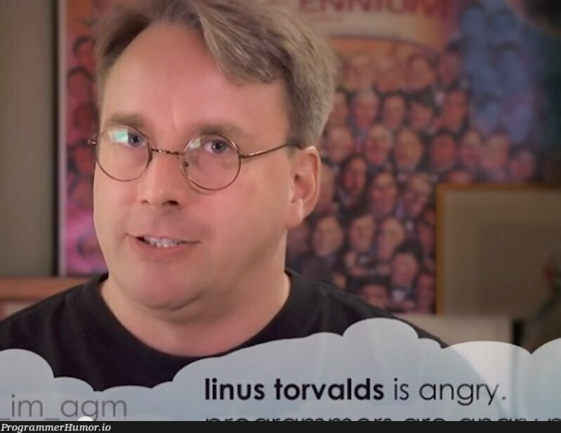 An appropriate summary of Linus Torvalds | ProgrammerHumor.io