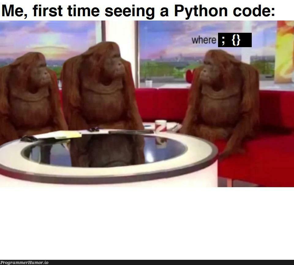 After using only C# and C++ for years, Python felt kinda strange | code-memes, python-memes, c++-memes, c#-memes | ProgrammerHumor.io