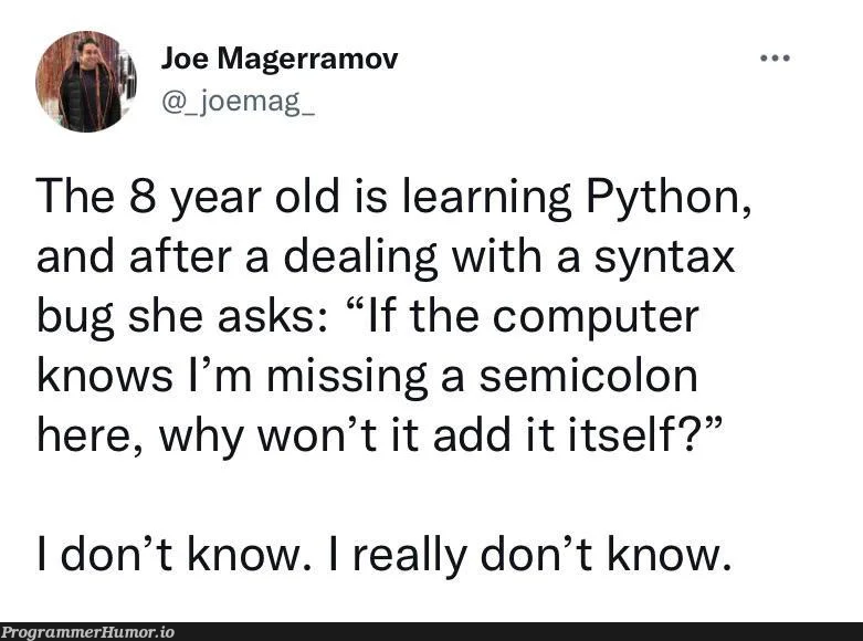 He's got a point tho | computer-memes, python-memes, bug-memes, IT-memes, semicolon-memes | ProgrammerHumor.io