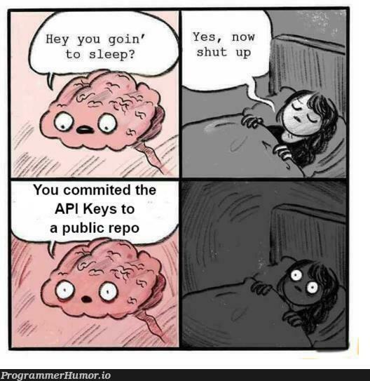 More like programmer nightmare | programmer-memes, program-memes, api-memes, public-memes | ProgrammerHumor.io
