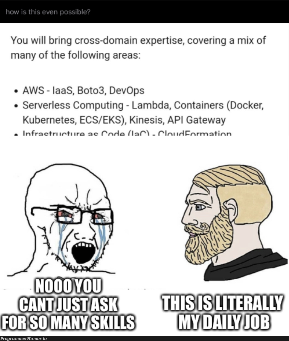 The duality of this sub | computing-memes, server-memes, aws-memes, docker-memes, bot-memes, kubernetes-memes, container-memes, devops-memes, cs-memes | ProgrammerHumor.io