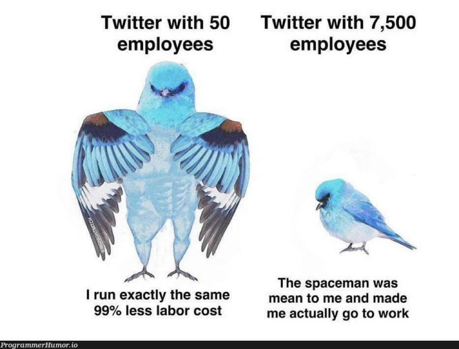 I guess they think websites are powered by engineers pedaling? | web-memes, engineer-memes, website-memes, twitter-memes, space-memes | ProgrammerHumor.io