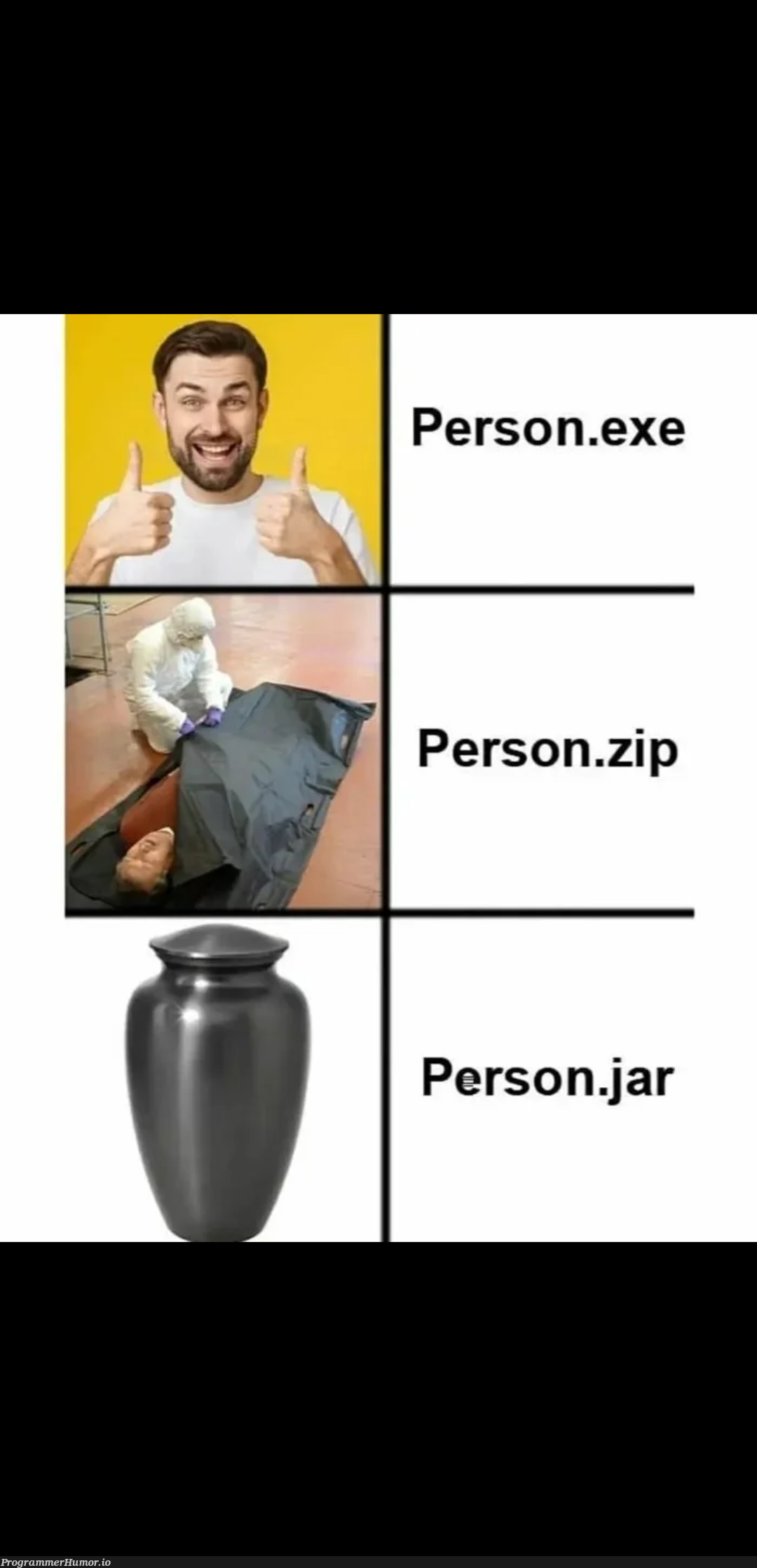 The 3 file types of a person | jar-memes | ProgrammerHumor.io