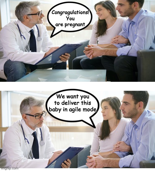 Incremental development and delivery | development-memes | ProgrammerHumor.io