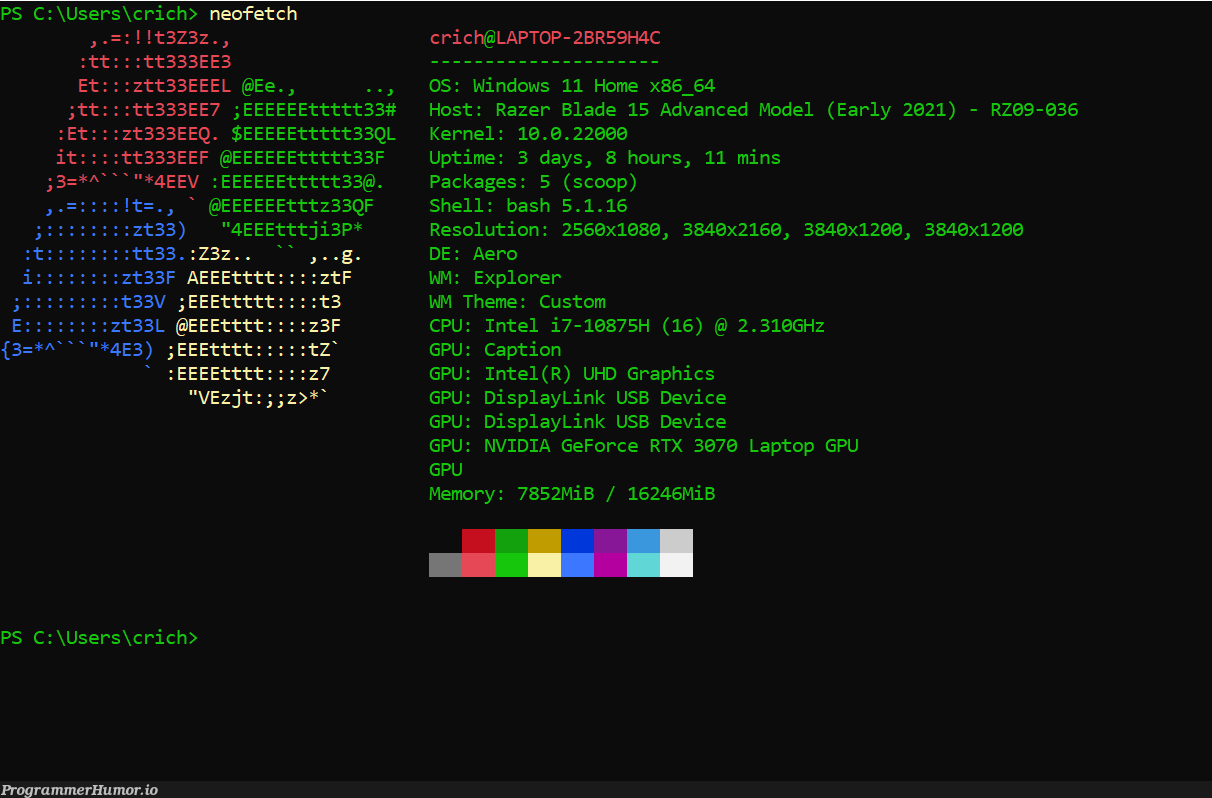 didnt know I could neofetch this lol | windows-memes, bash-memes, shell-memes, oop-memes, laptop-memes, cs-memes, kernel-memes, graph-memes | ProgrammerHumor.io