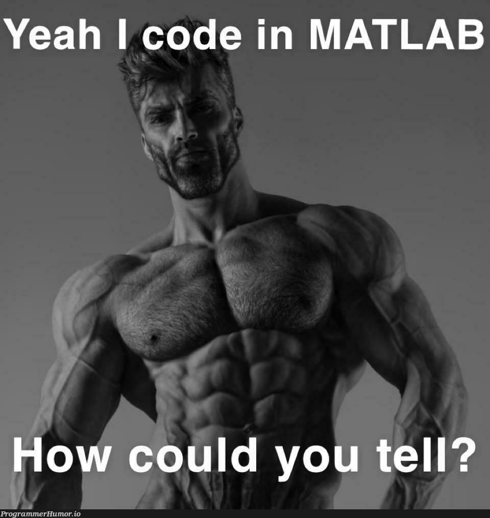 Only language I know | code-memes, matlab-memes, language-memes | ProgrammerHumor.io