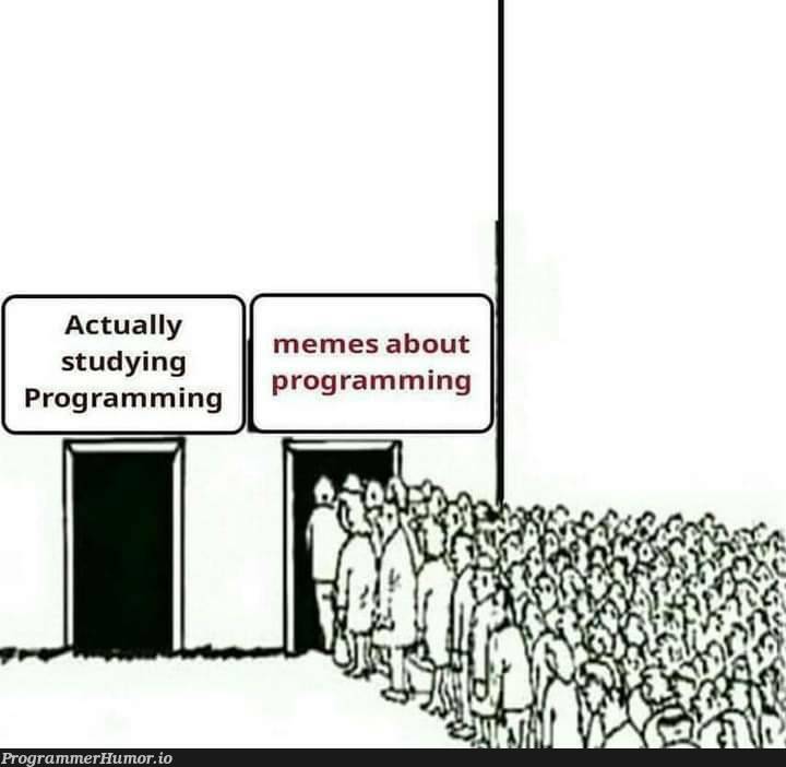 we learned programming for the memes | programming-memes, program-memes | ProgrammerHumor.io