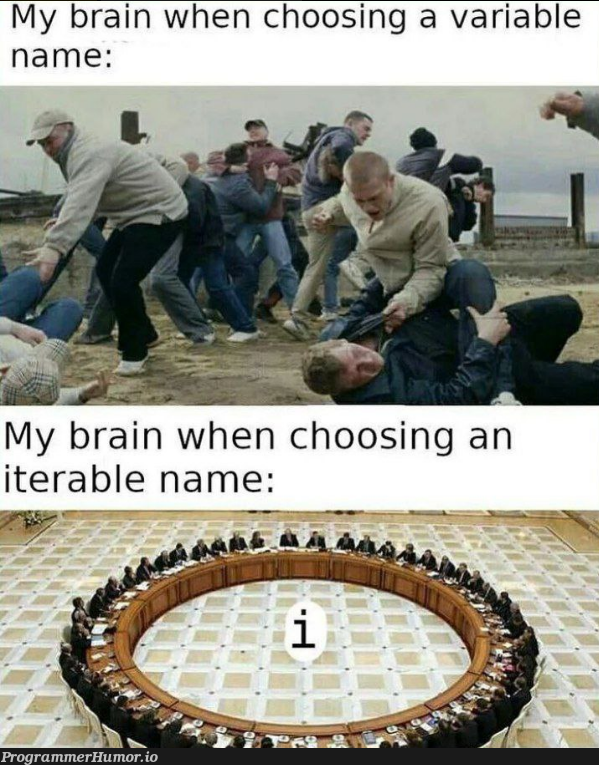 Yep. Checks out. | variable name-memes | ProgrammerHumor.io