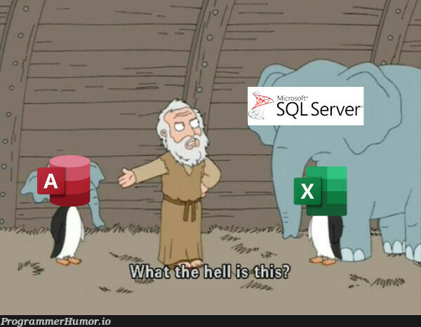 I seriously can't fathom why anyone would use Access | ProgrammerHumor.io