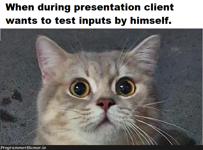 Input processing failed successfully. | test-memes, cli-memes | ProgrammerHumor.io