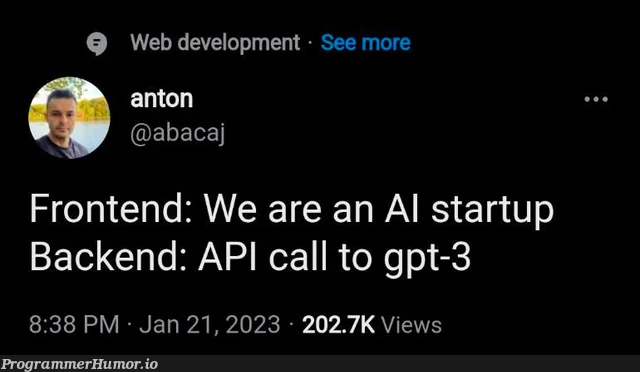 The state of AI startups rn... | web development-memes, development-memes, web-memes, backend-memes, frontend-memes, api-memes, startup-memes | ProgrammerHumor.io